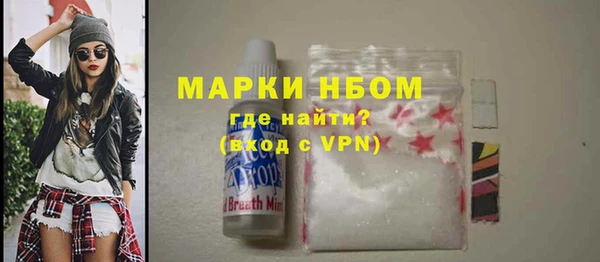 тгк Каменка