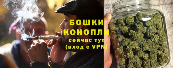 тгк Каменка