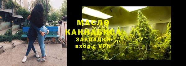 тгк Каменка