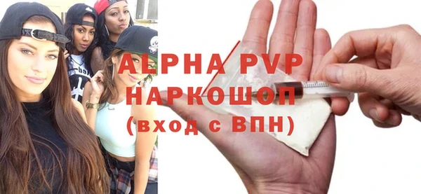 тгк Каменка