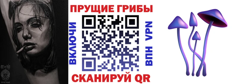 Галлюциногенные грибы Psilocybine cubensis  Купить где  Черемхово 
